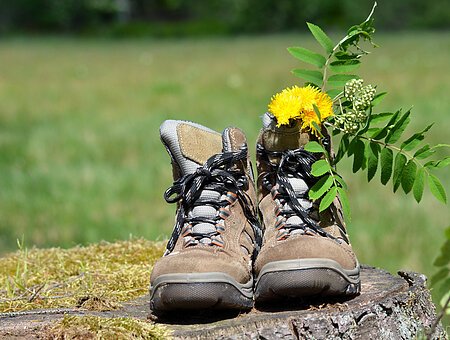 Wanderschuhe Sommer Pause Wandern Wanderschuhe Blumenwiese Sommer
