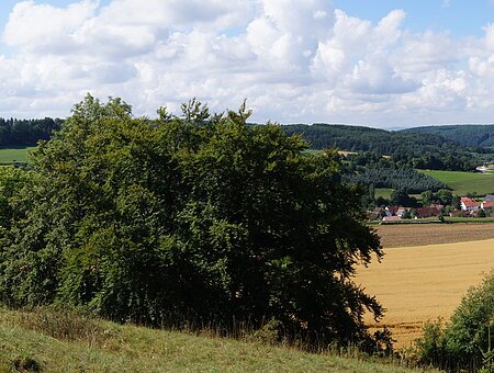 Hechlingen