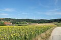 Windkraftanlagen bei Oberhochstatt