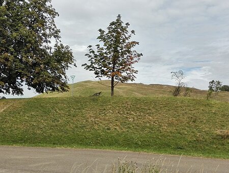 Gelber Berg Dittenheim