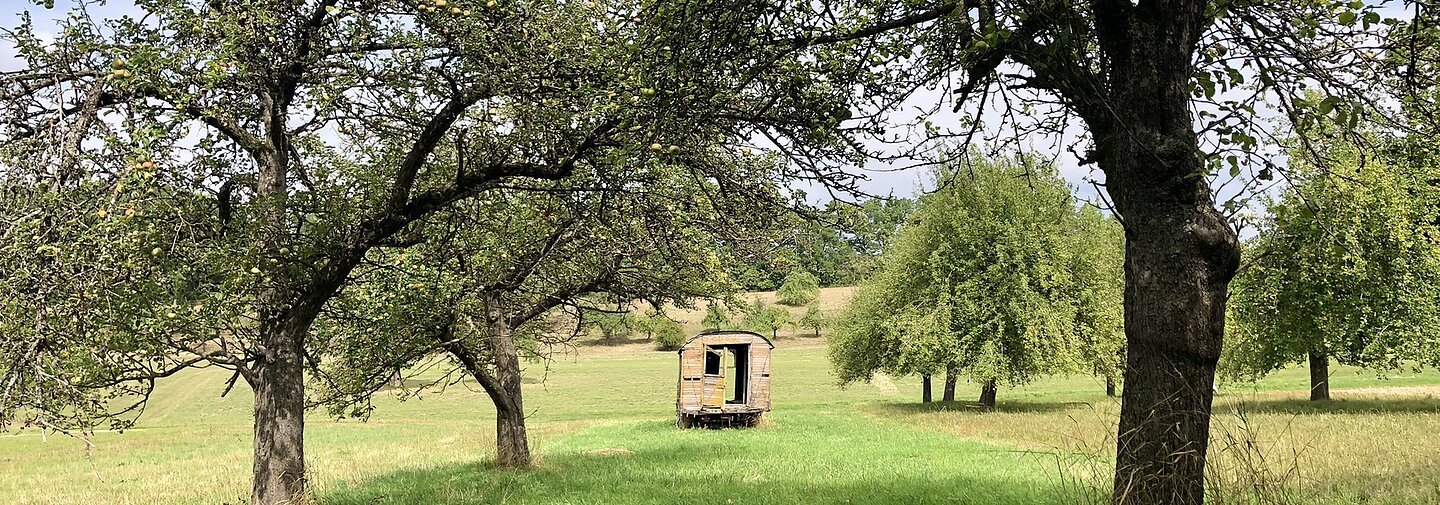 Streuobstwiese mit Holzwagen